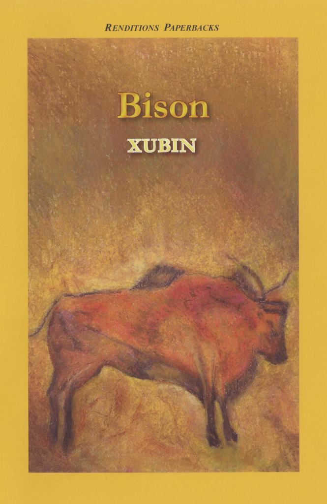 Bison book cover